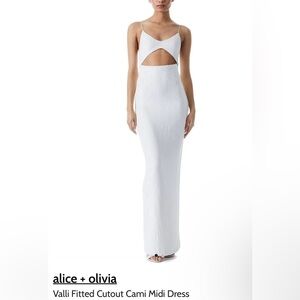 Alice & Olivia Yhe Valli Dress, NWT